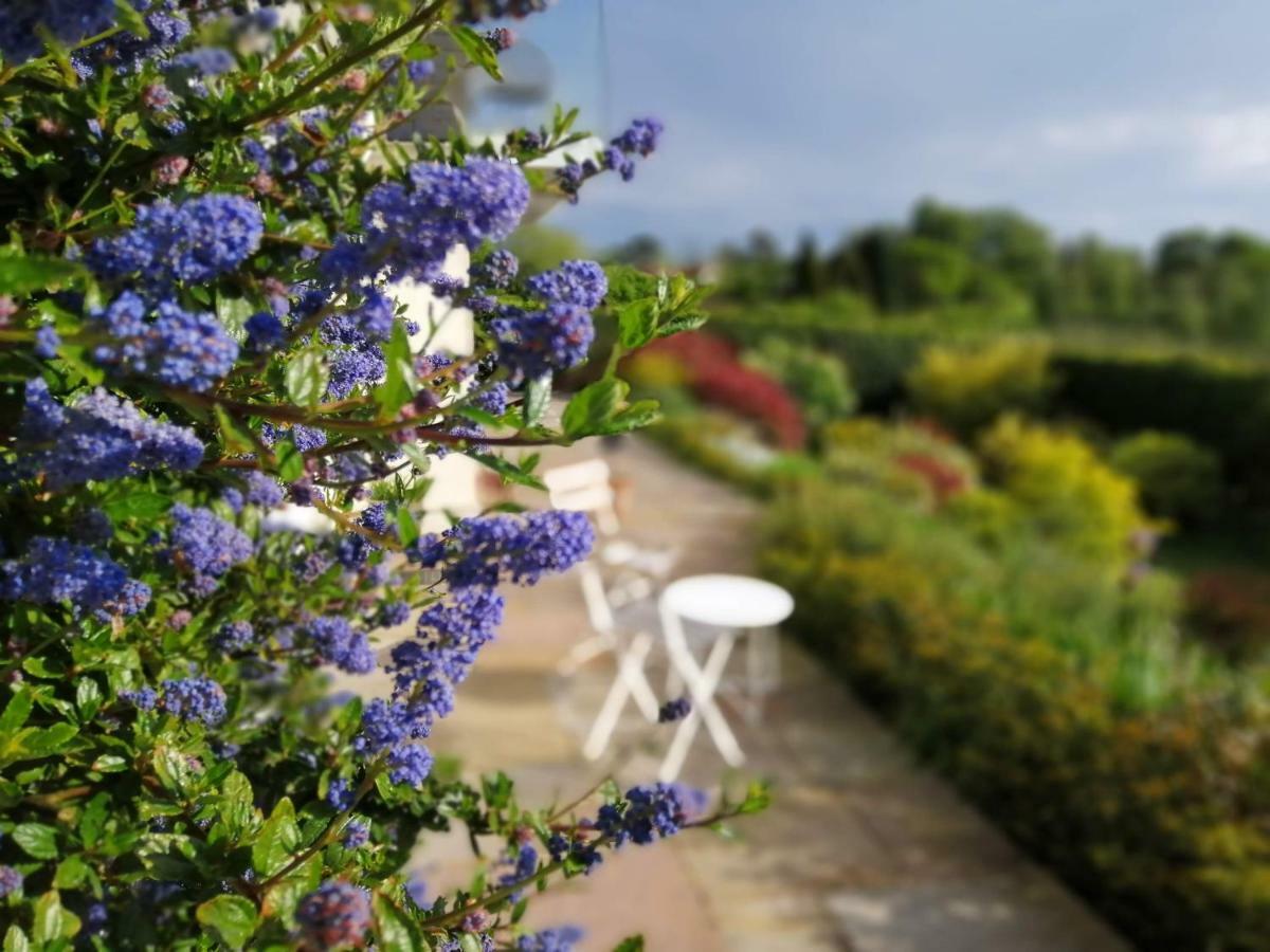 Meadow Cottage Bed & Breakfast 호크허스트 외부 사진