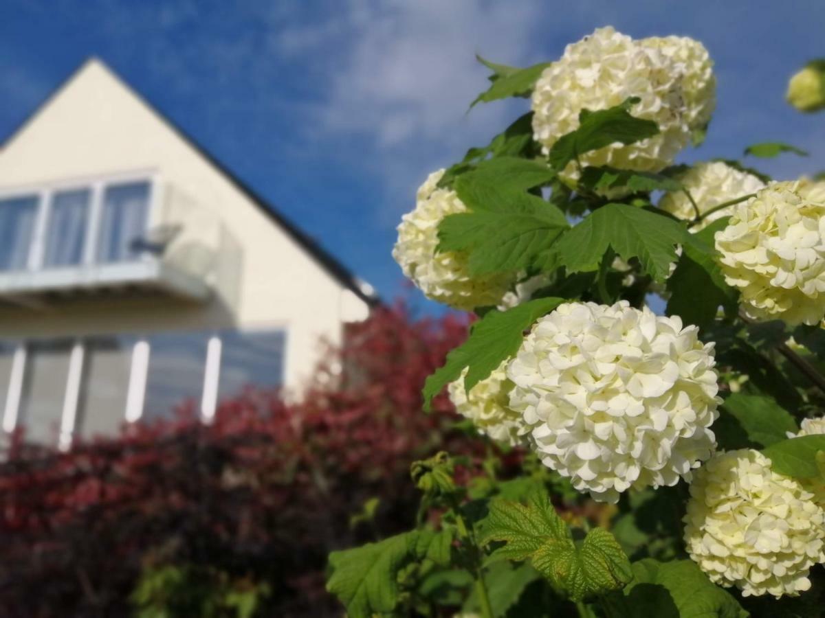 Meadow Cottage Bed & Breakfast 호크허스트 외부 사진